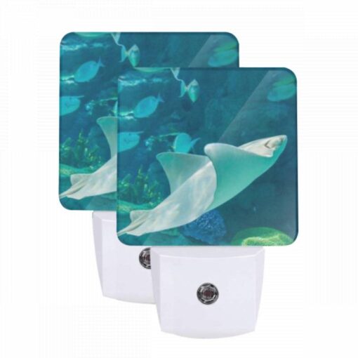 Night Light Set Of 2, A White Stingray Swims In The Ocean. -Nuas Diy Shop da0c1a04814f1c3877cf070b455696e8b6937542