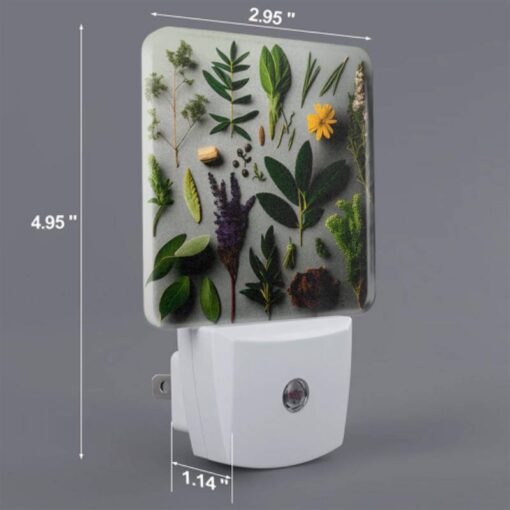 Night Light Set Of 2, A Collection Of Various Plants And Herbs. -Nuas Diy Shop e8cd7529e64a16089afeb4d0e86d96529c583d04