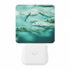 Night Light, A School Of Fish Swimming In The Ocean. -Nuas Diy Shop e8daf78d4bbf2fdd38be0e5d805bd6219887ef78