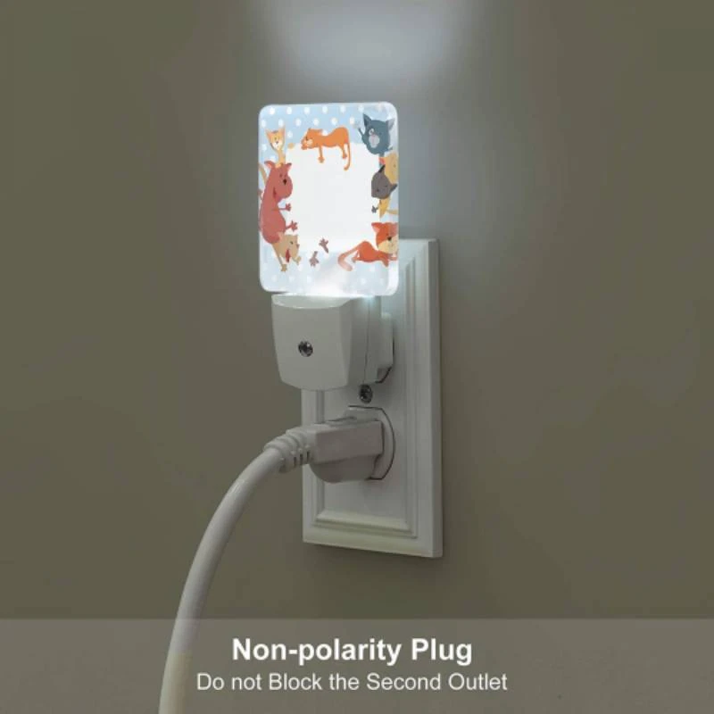 Night Light, A group of cats are sitting on a white board. Night Light, A Group Of Cats Are Sitting On A White Board. -Nuas Diy Shop e953629f3ec7c82b8ab4bbaaeb5960462e38385a