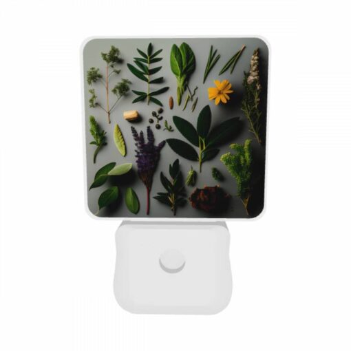 Night Light Set Of 2, A Collection Of Various Plants And Herbs. -Nuas Diy Shop ee880092f47ab6efd30288506abcbbe8733d6482