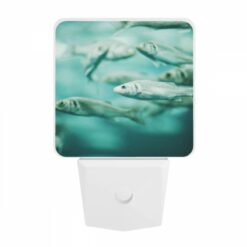 Night Light, A School Of Fish Swimming In The Ocean. -Nuas Diy Shop f7aeb205ebf2326c9e3cdd6f77904a180656763a