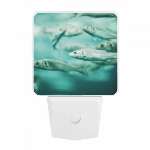 Night Light, A School Of Fish Swimming In The Ocean. -Nuas Diy Shop f7aeb205ebf2326c9e3cdd6f77904a180656763a
