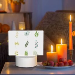 Rectangular Acrylic Night Light, A Collection Of Six Different Types Of Plants. -Nuas Diy Shop fb0824a32a354960fbaab7ba34588f2f8d0f23f7